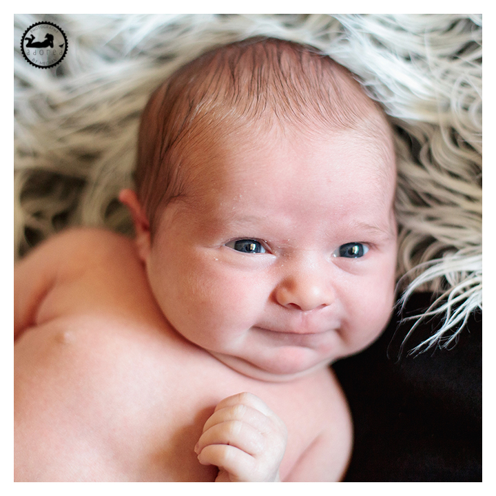 Sweet newborn baby girl, eyes open for her photos.