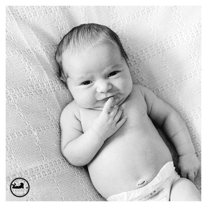 Black and white newborn image of awake baby girl