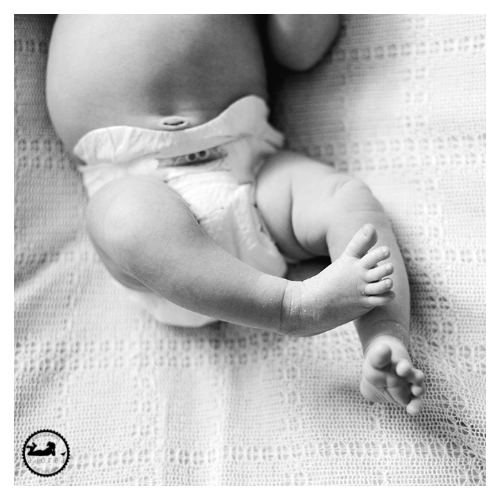 Black and white image of newborn baby girl feet and toes