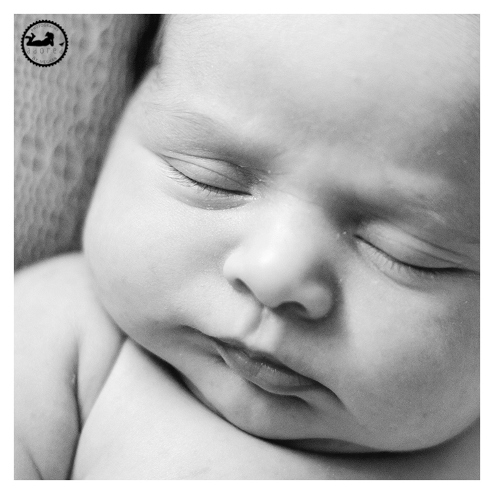 Black and white image of closeup newborn baby girl portrait