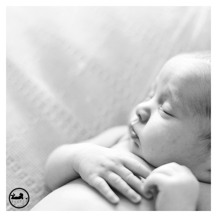 Black and white profile picture of newborn baby girl sleeping.